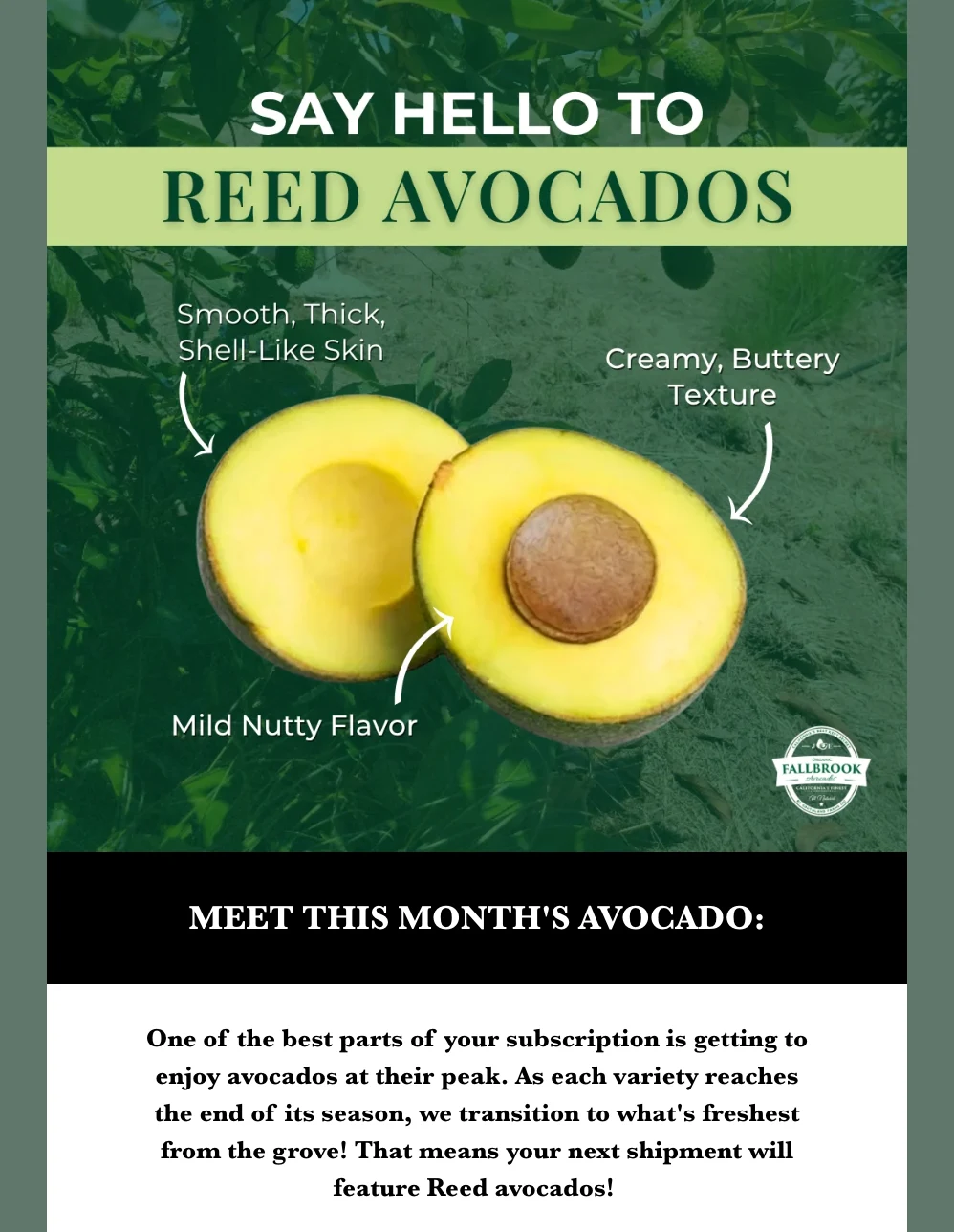 Fallbrook Avocado email example