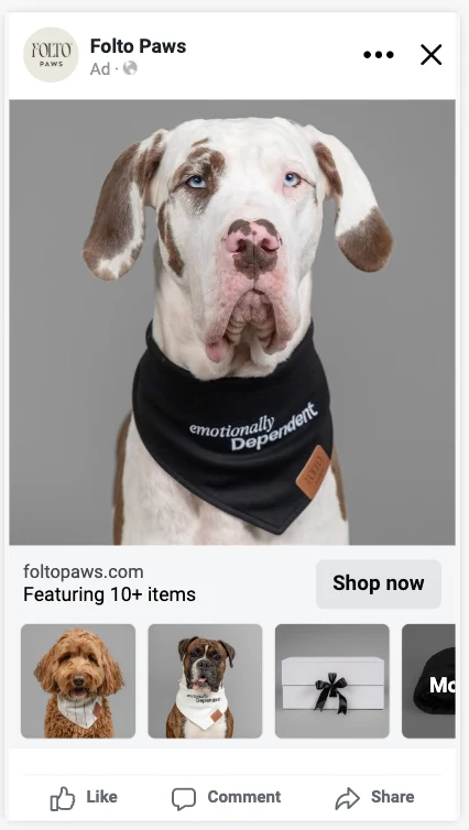 Folto Paws ad creative example