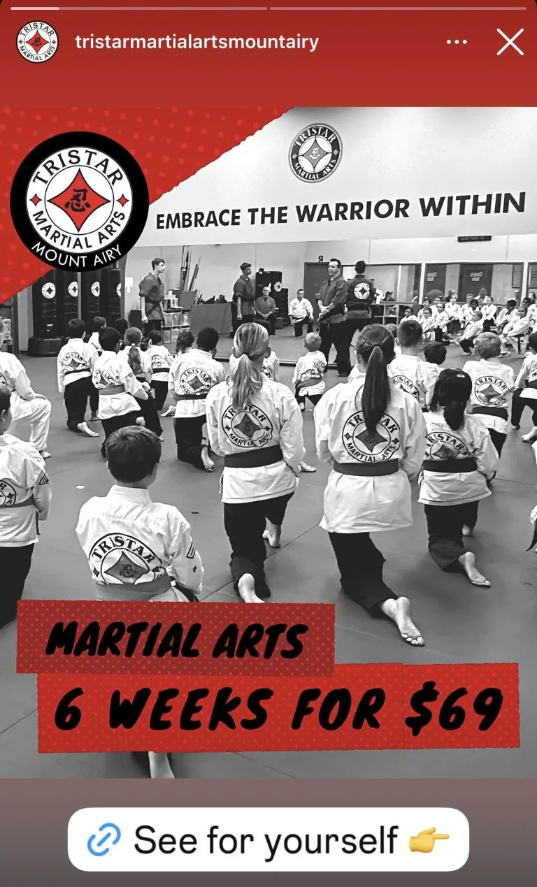 Tristar Martial Arts ads work example