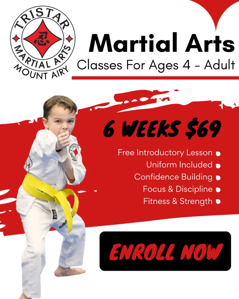 Tristar Martial Arts ads work example