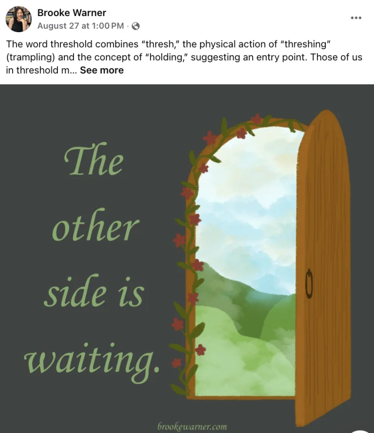 Warner Coaching & She Writes Press content work example